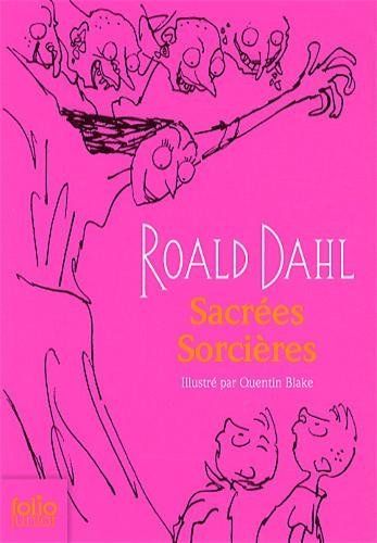 LIVRE Roald Dahl sacrées sorcières 2016 n°613